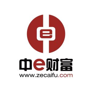 中e財(cái)富LOGO設(shè)計(jì)