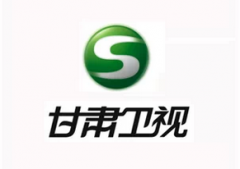甘肅衛(wèi)視LOGO設(shè)計(jì)​