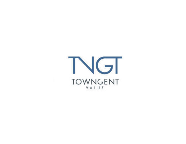 TNGT企業(yè)LOGO設(shè)計(jì)是把TN和GT字母分別焊接的創(chuàng)意
