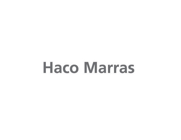 Haco Marras市場(chǎng)咨詢公司LOGO設(shè)計(jì)