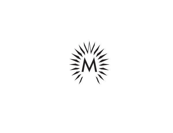 M字母與放射性的創(chuàng)意結(jié)合成的公司LOGO設(shè)計(jì)