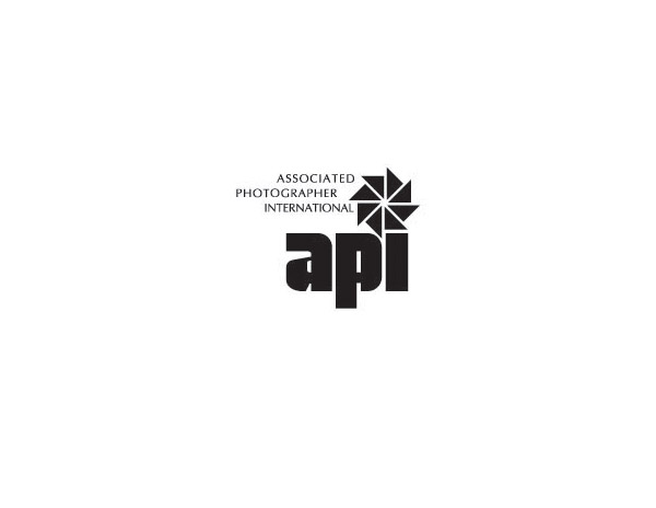 API亞州投資中心LOGO設(shè)計(jì)