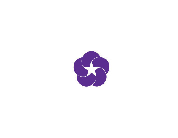 五角星的LOGO