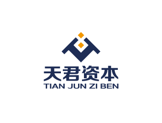 ​安徽天君資本管理有限責任公司標志簡介