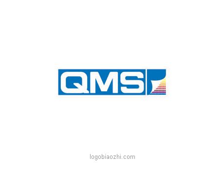 QMS互聯(lián)網(wǎng)公司標志