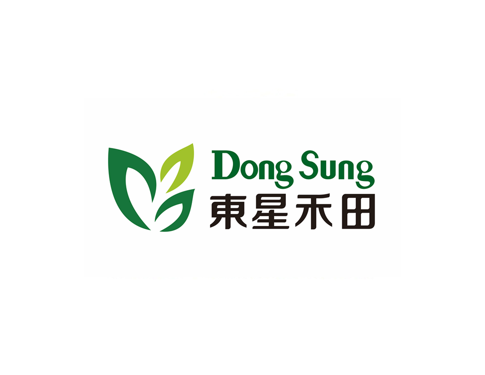東星禾田國際農(nóng)業(yè)科技發(fā)展公司創(chuàng)意以3片種苗的造型為圖形